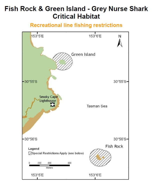 Pic: Mick Fletoridis